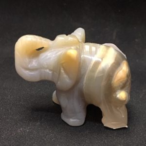 פיל אגת עין