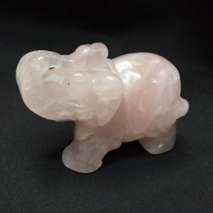 פיל רוזקוורץ