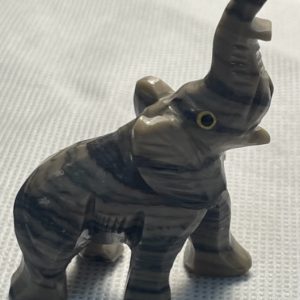 קריסטלים חיות - פיל ג'ספר פיקסו