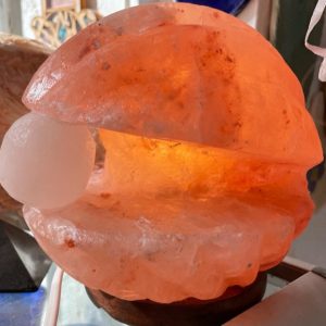 מנורת מלח קונכיה