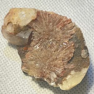 קריסטלים - המיוחדים שלנו  - פרחי אמטיסט