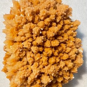 קריסטלים - המיוחדים שלנו - מושבת כלצית כתומה